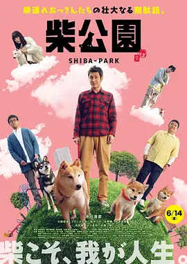 网址分析