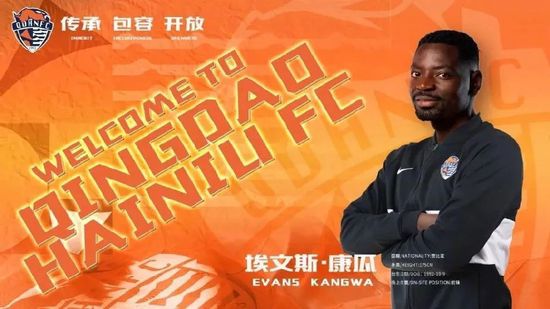 精品一区二区久久久久久久网站
