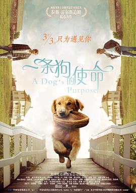 黄色一级理论片