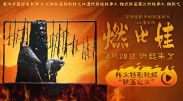 精品久久中文