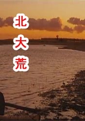 完全兴奋的红小姐