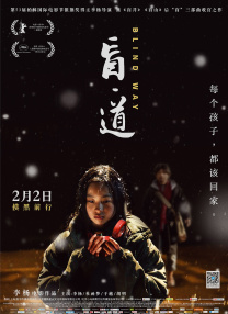 国产成人一级片