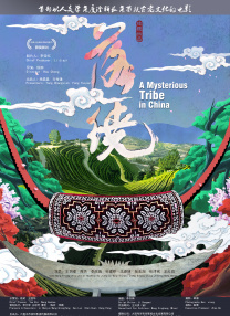 中国高清windows视频播放